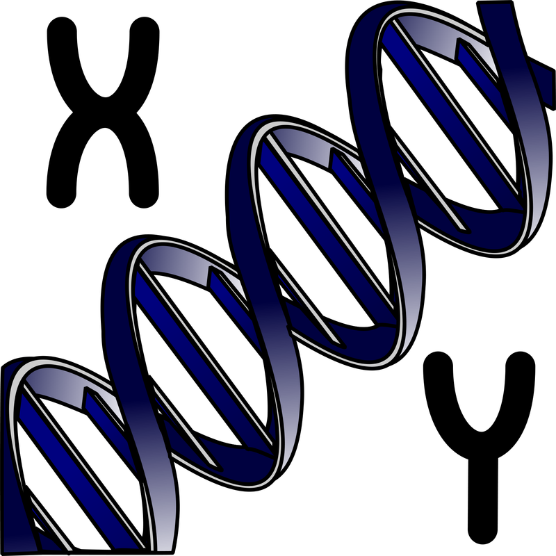 genetics