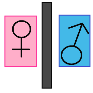 gender binary