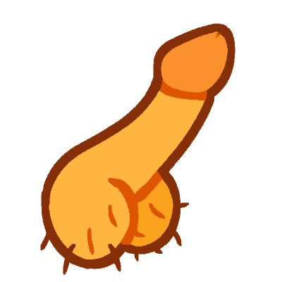 penis