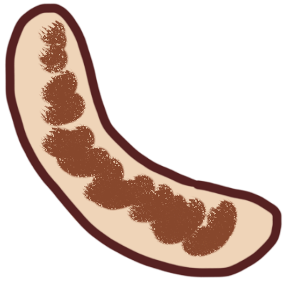 bratwurst