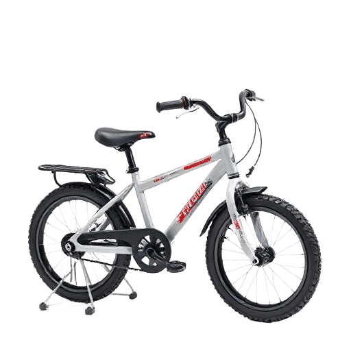 bike with stabliser wheels