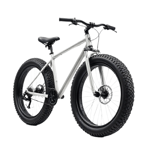 fat bicycle
