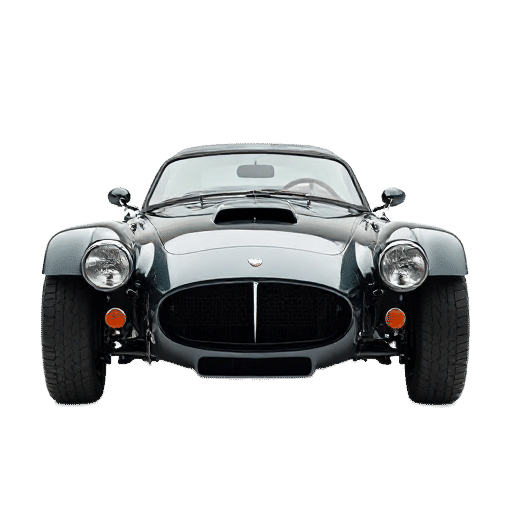 Bristol Fighter