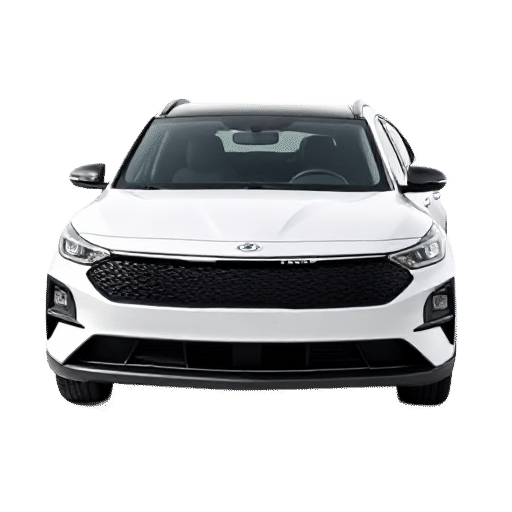 Kia Niro EV