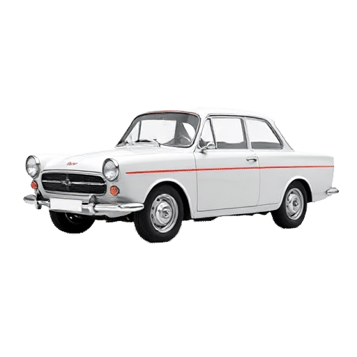 Skoda 110R Sports