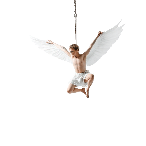 aerialist