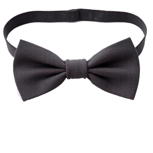 bow tie ready tied
