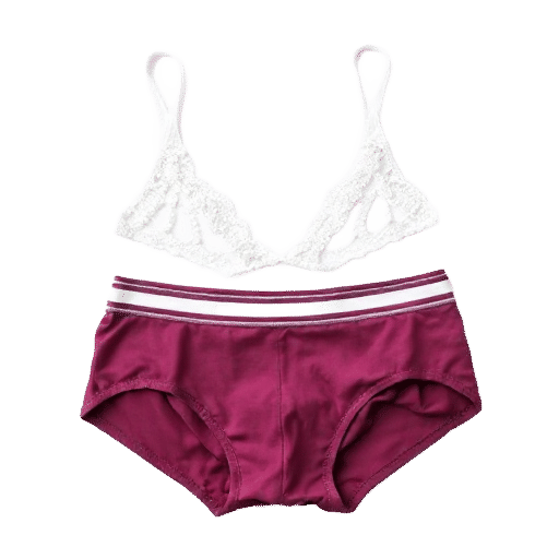 briefs