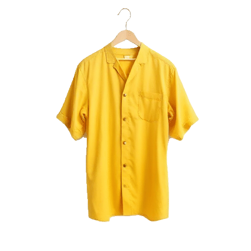 casual short sleeve shirt