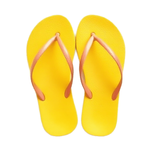 flip flops