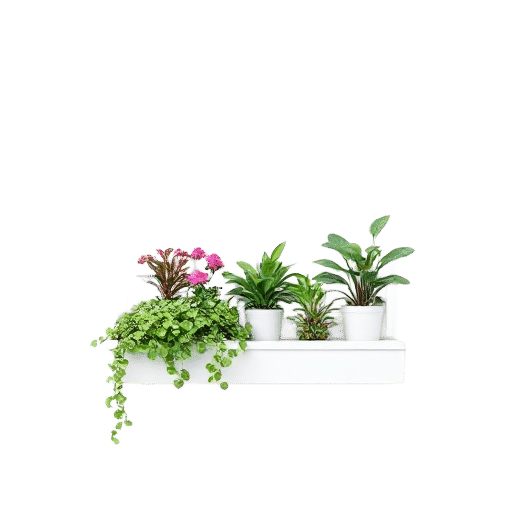 window box planters