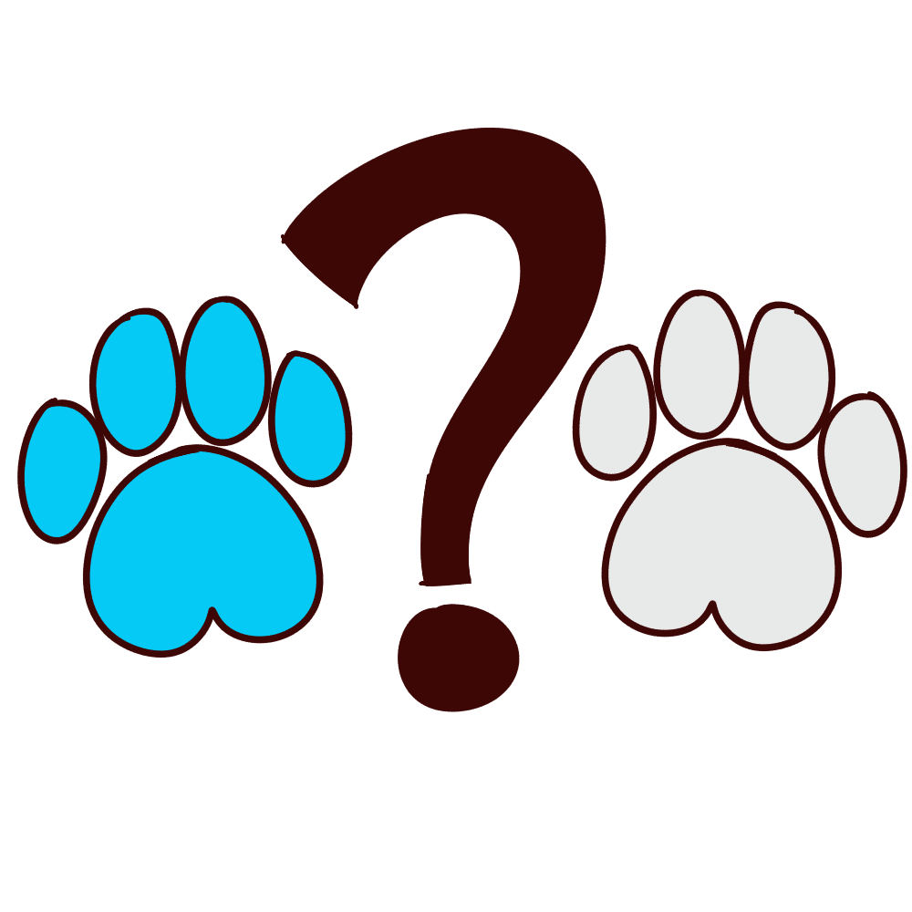 which