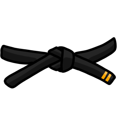 2nd dan black belt