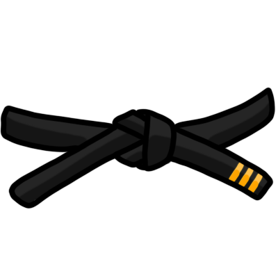 3rd dan black belt