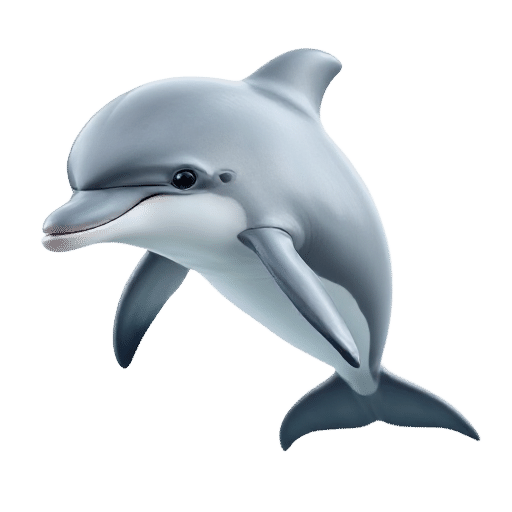 dolphin baby