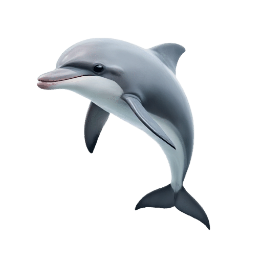 dolphin young