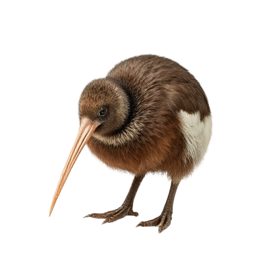 kiwibird adult