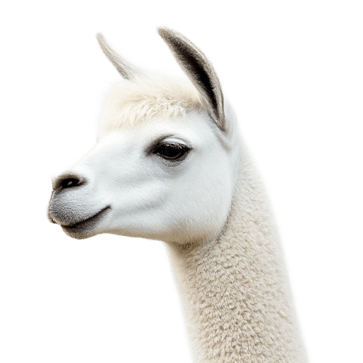 llama adult