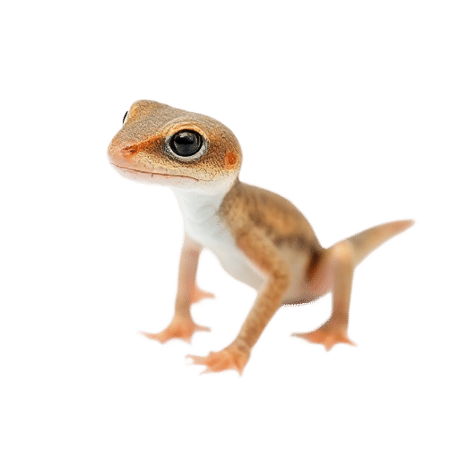 newt young