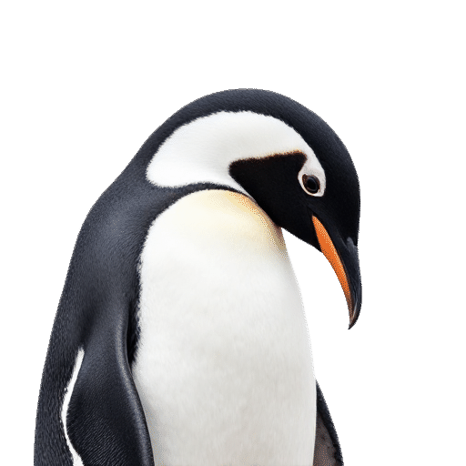 penguin adult