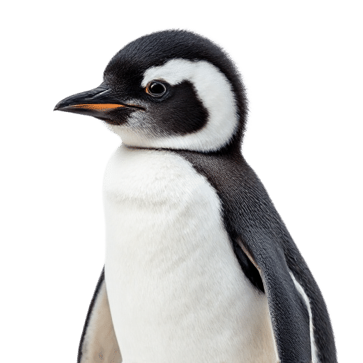 penguin young