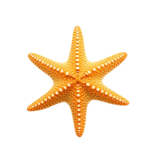 starfish young
