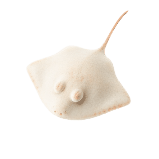 stingray baby