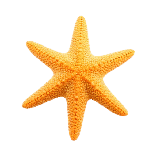 starfish baby