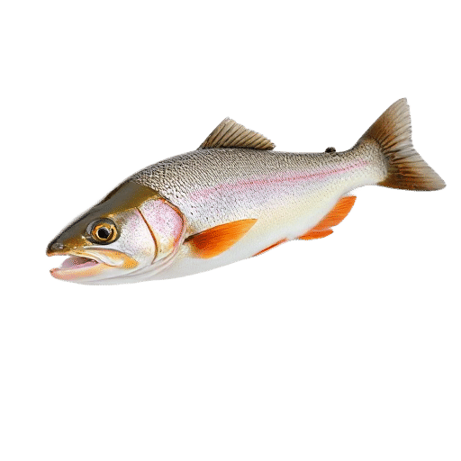 trout young