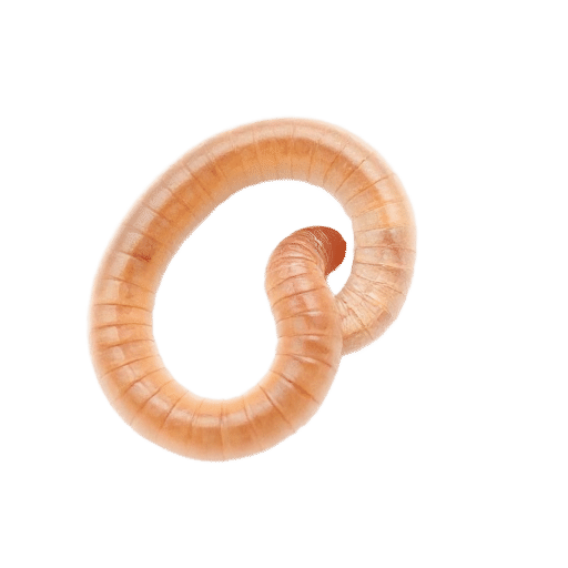 worm baby