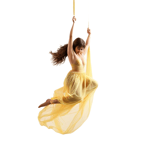 aerial silks