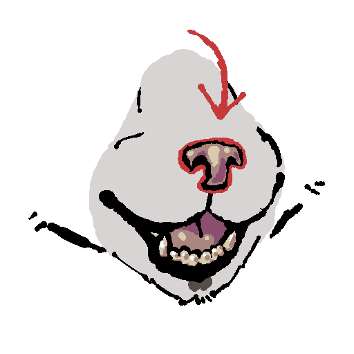 nose