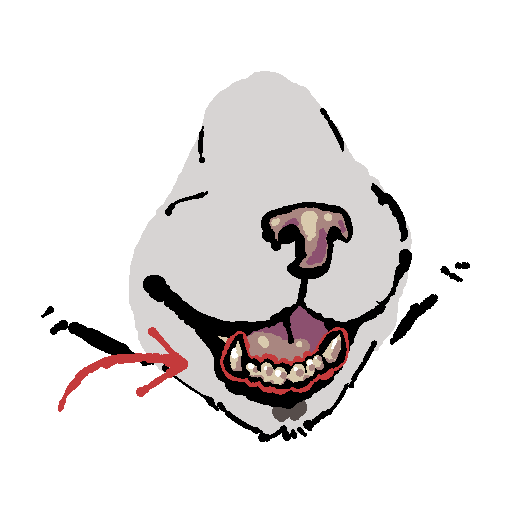 teeth