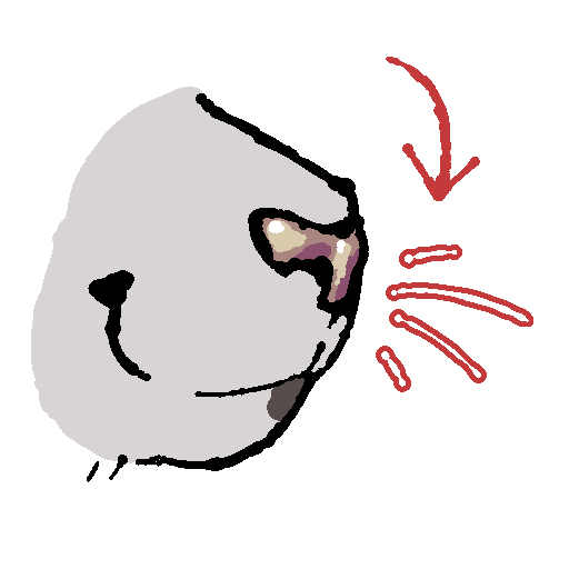whiskers