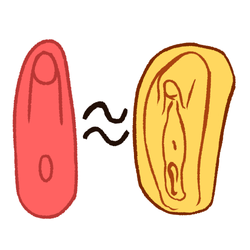 yonic
