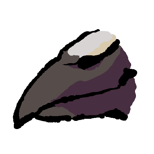 beak (rock pigeon)