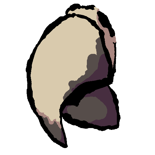 beak (scarlet macaw)