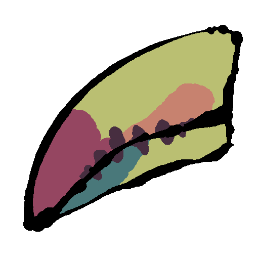 beak (keel-billed toucan)