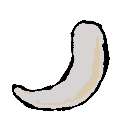 tusk