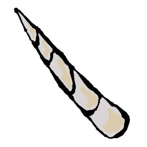 tusk (narwhal)