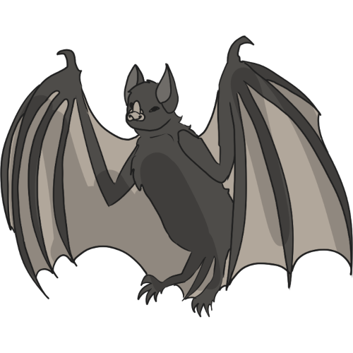 bat