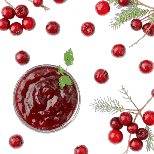 cranberry sauce