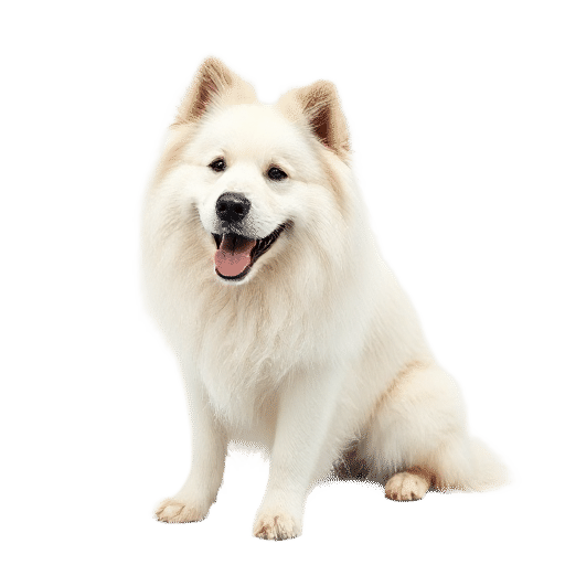 Pyrenean Mountain Dog