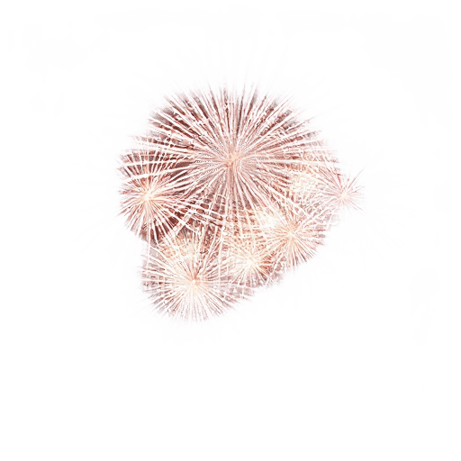 Fireworks Display