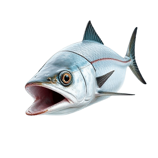 Pickhandle Barracuda