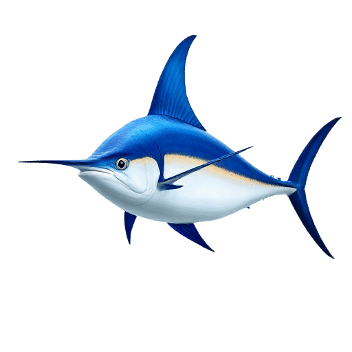 Blue Marlin Blue Tang