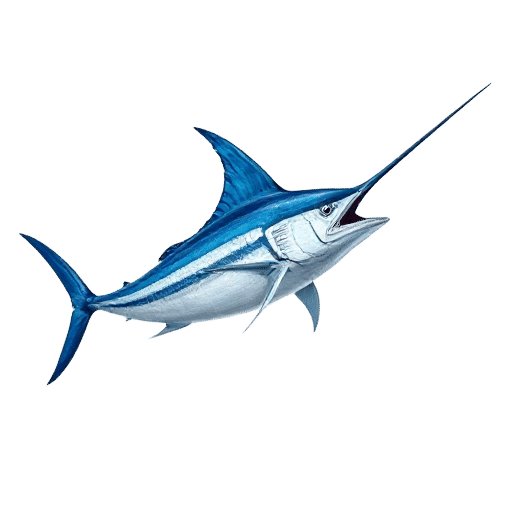 Blue Marlin