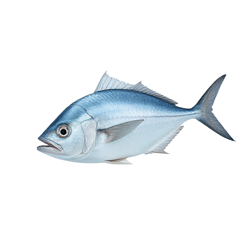 Blue Trevally