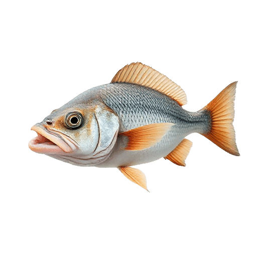Cattle Fish