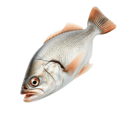 Cod